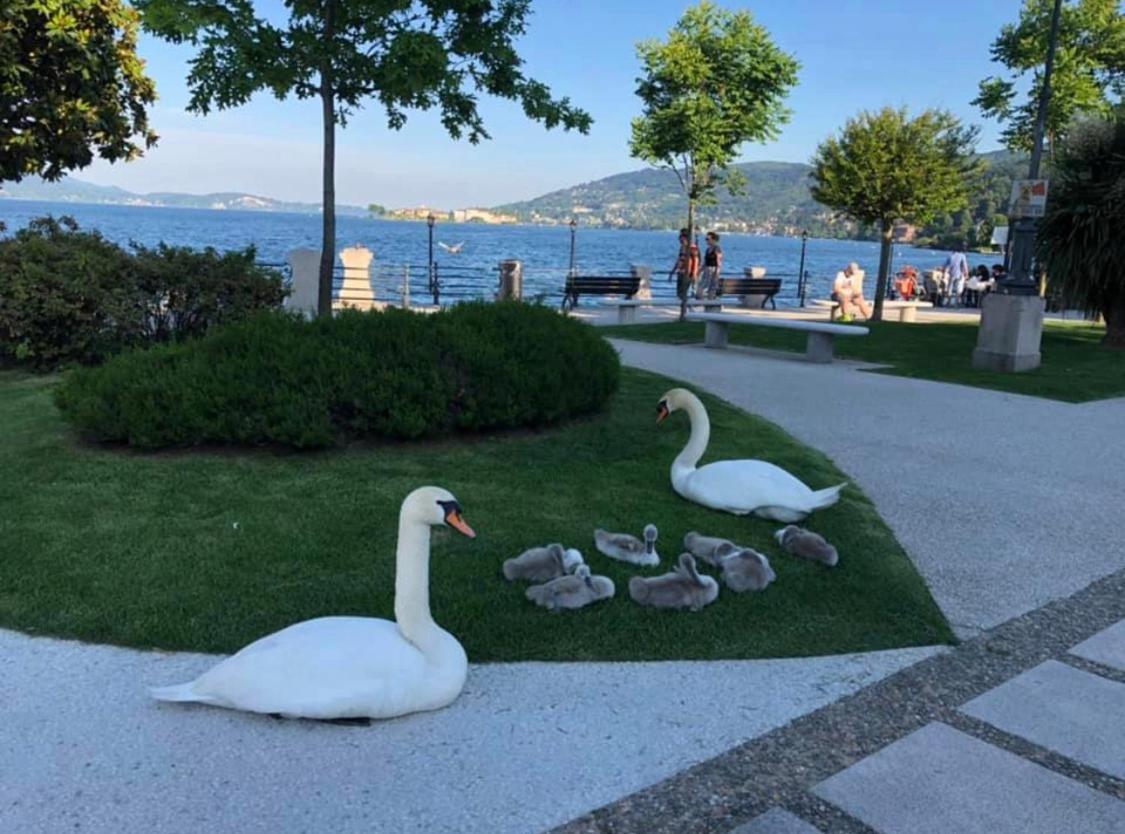 Antico Palazzo Lago Maggiore Villa Verbania Esterno foto